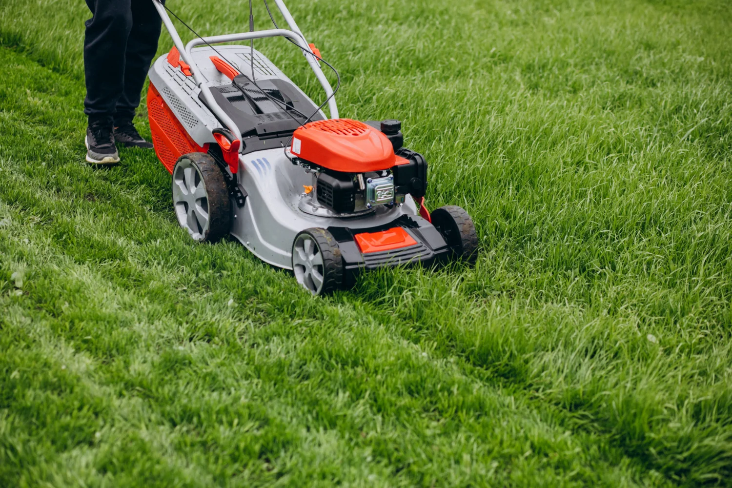 Grass Mowing & Edging Services