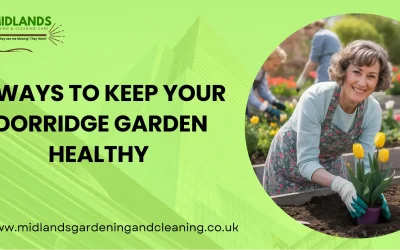5 Ways to Keep Your Dorridge Garden Healthy Through the Seasons