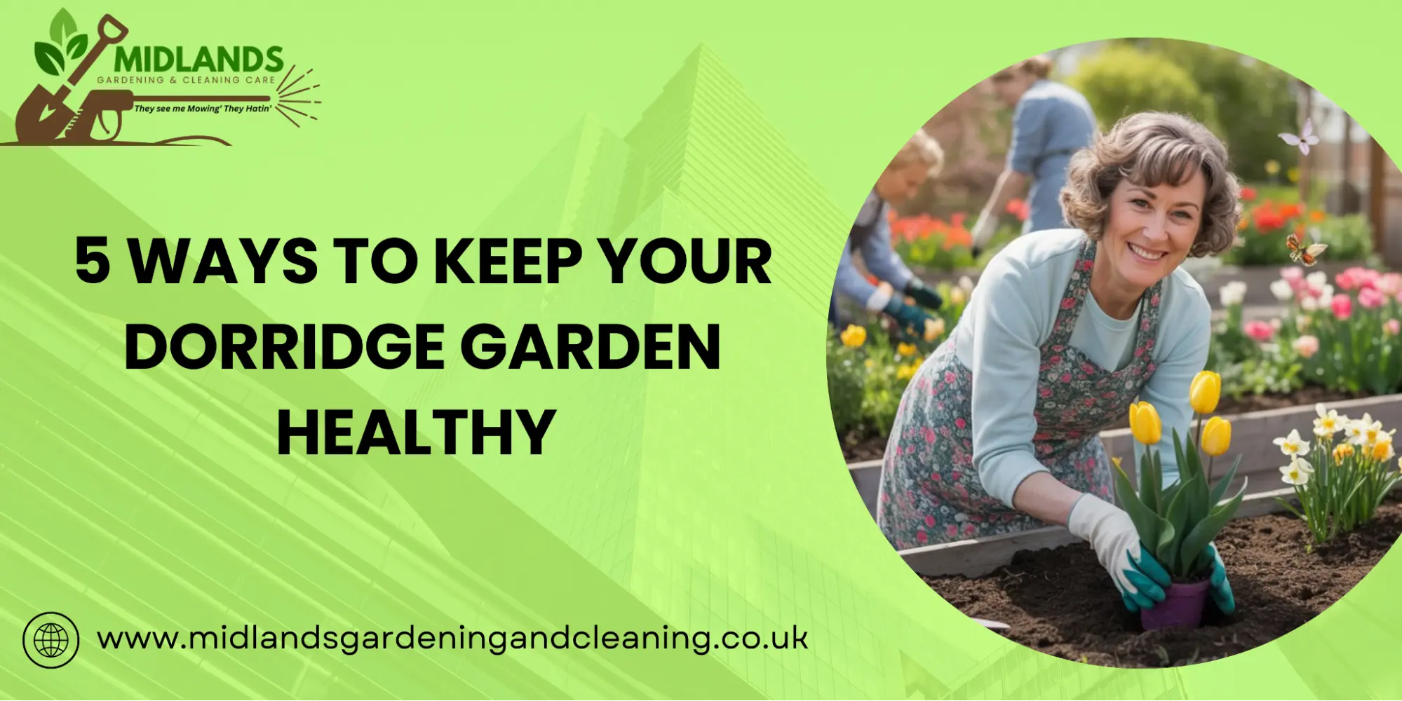 Keep Your Dorridge Garden Healthy