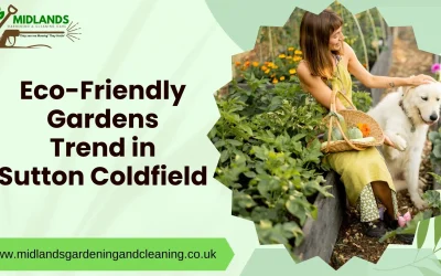 Eco-Friendly Garden Services in Sutton Coldfield